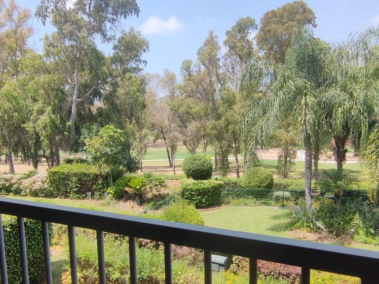 Apartment for Sale in Atalaya, Malaga 29