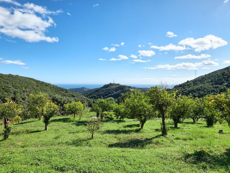 Villa for Sale in Estepona, Malaga 37
