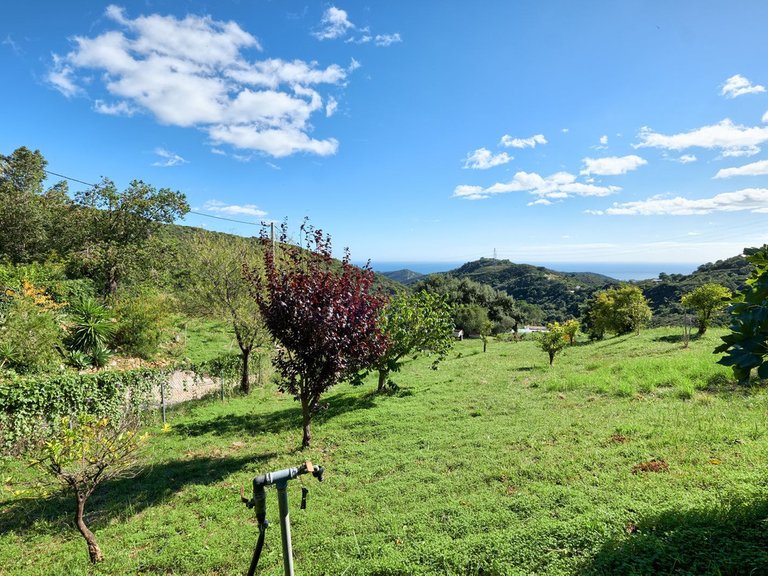 Villa for Sale in Estepona, Malaga 38