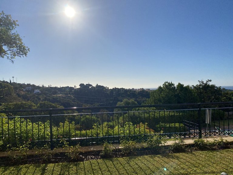 Apartment for Sale in Elviria, Malaga 14