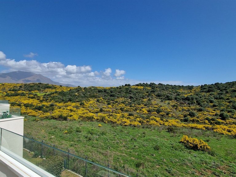Apartment for Sale in Estepona, Malaga 14