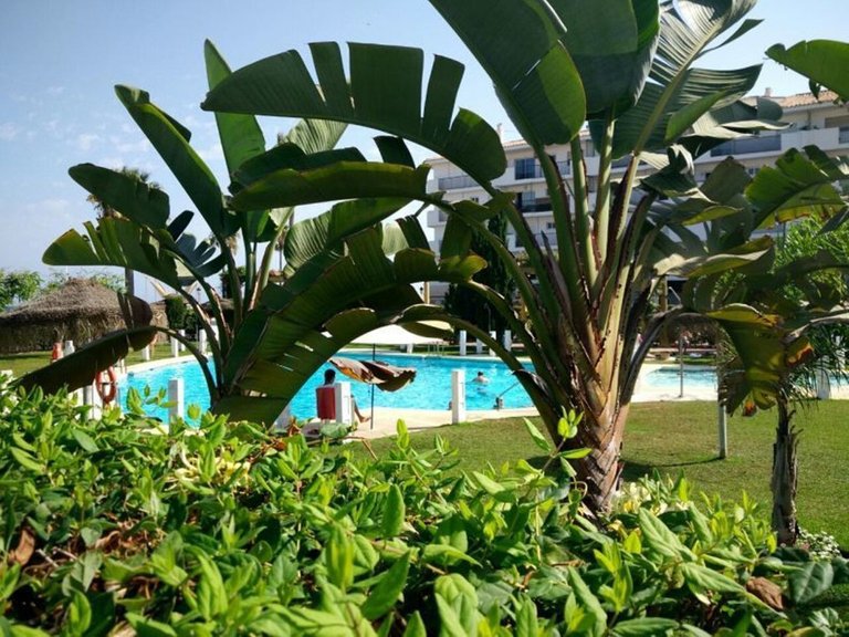 Apartment for Sale in San Luis De Sabinillas, Malaga 35