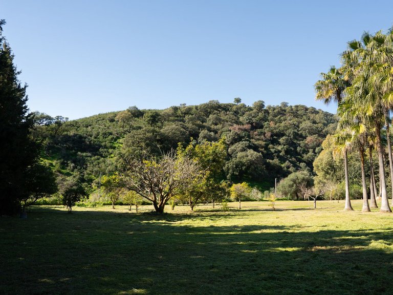 Villa for Sale in Estepona, Malaga 21
