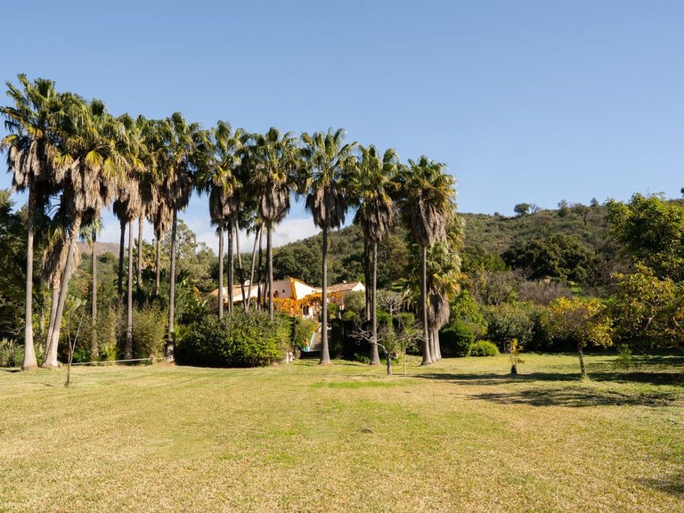 Villa for Sale in Estepona, Malaga 4