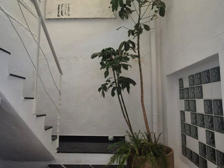 Villa for Sale in San Pedro De Alcántara, Malaga 14