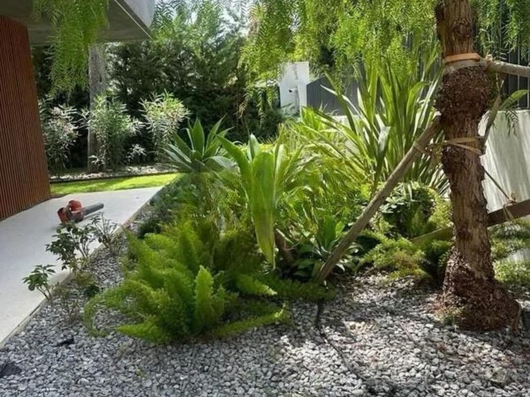 Villa for Sale in Marbella, Malaga 3