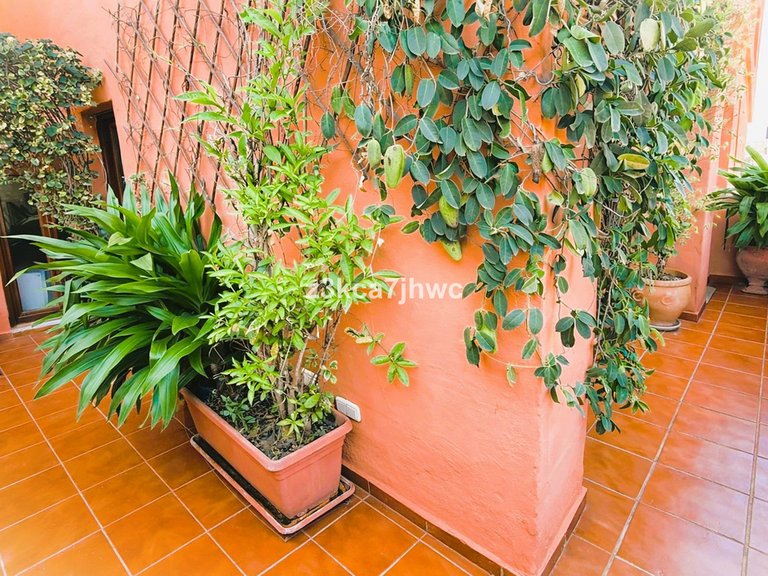 Apartment for Sale in Estepona, Malaga 10