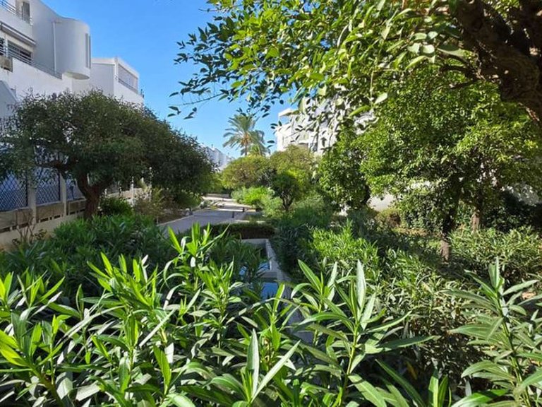 Apartment for Sale in Mijas, Malaga 24