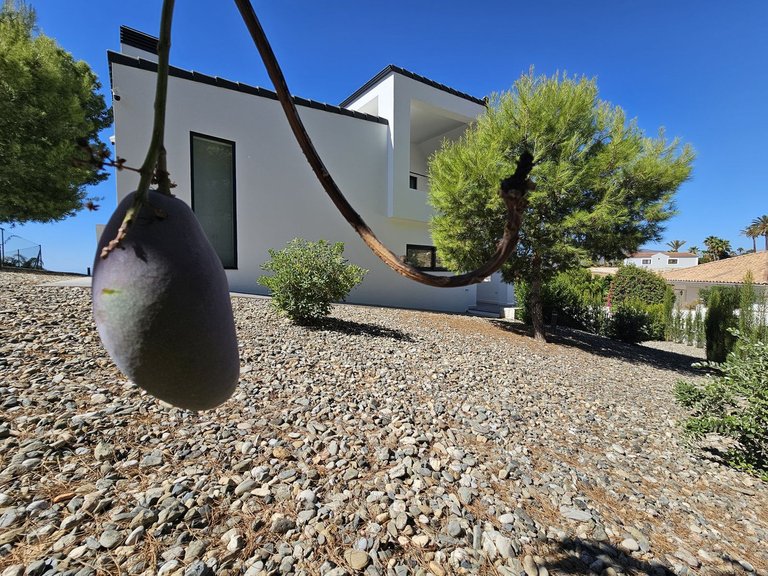 Villa for Sale in Mijas, Malaga 76