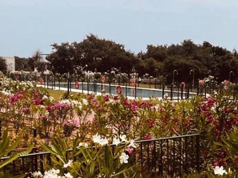 Apartment for Sale in Sotogrande, Cadiz 20