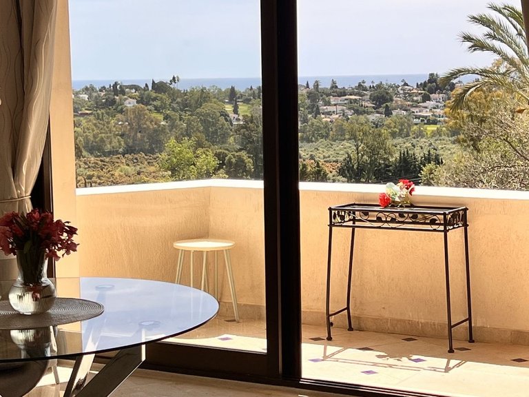 Villa for Sale in Estepona, Malaga 19