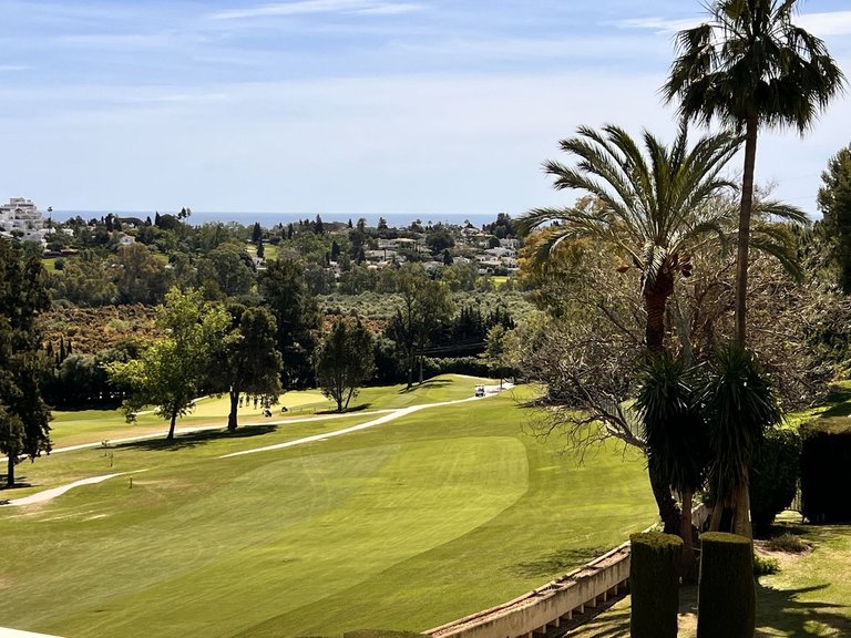 Villa for Sale in Estepona, Malaga 21