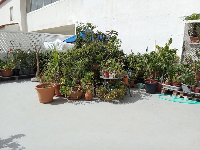 Apartment for Sale in Estepona, Malaga 12