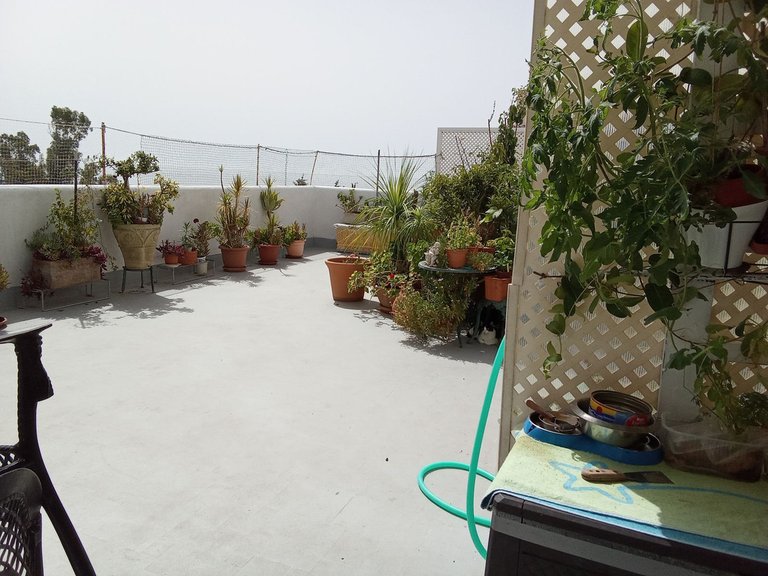 Apartment for Sale in Estepona, Malaga 13