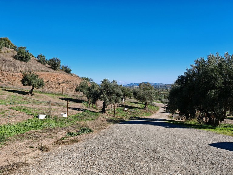 Villa for Sale in Coín, Malaga 35