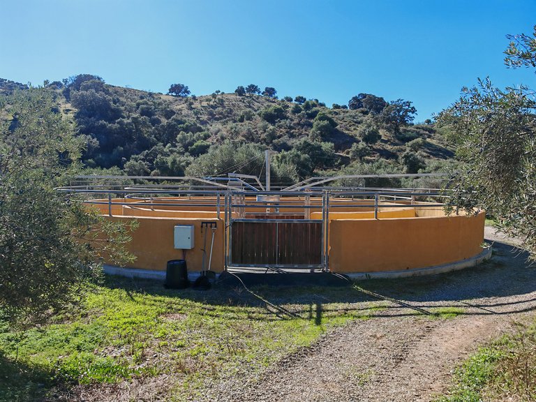 Villa for Sale in Coín, Malaga 5