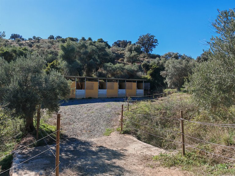 Villa for Sale in Coín, Malaga 7