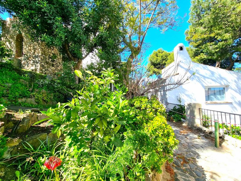 Villa for Sale in Benalmadena, Malaga 18