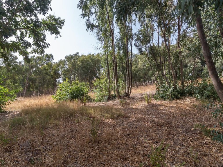 Plot for Sale in Manilva, Malaga 10
