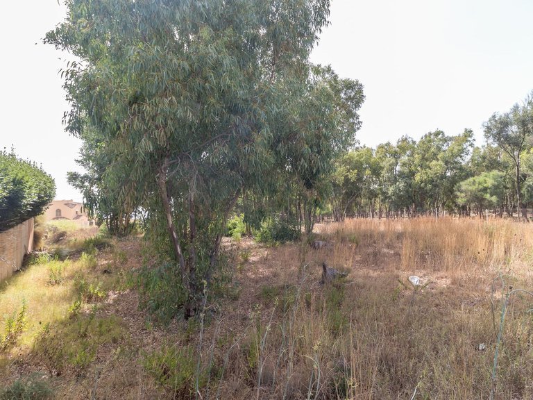 Plot for Sale in Manilva, Malaga 6