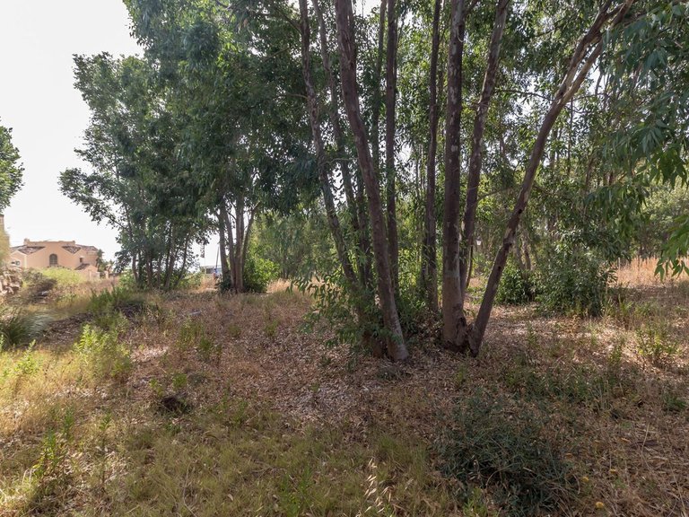 Plot for Sale in Manilva, Malaga 7