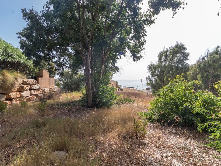 Plot for Sale in Manilva, Malaga 8