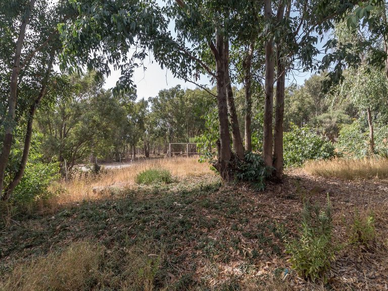 Plot for Sale in Manilva, Malaga 9