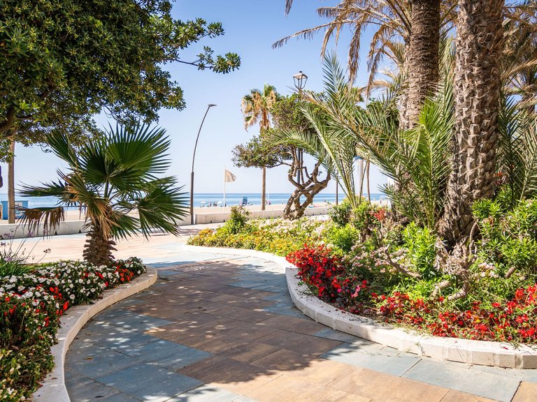 Villa for Sale in Estepona, Malaga 42