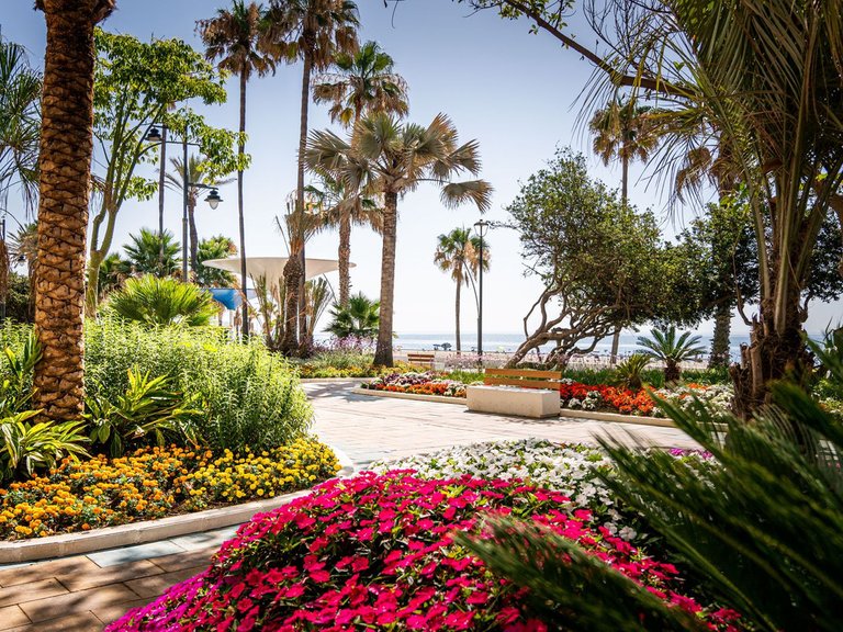 Villa for Sale in Estepona, Malaga 44