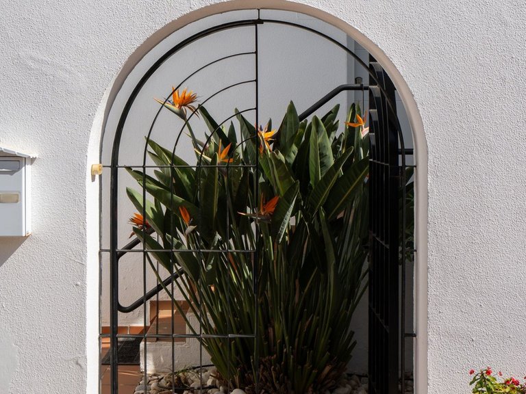 Villa for Sale in Costalita, Malaga 28