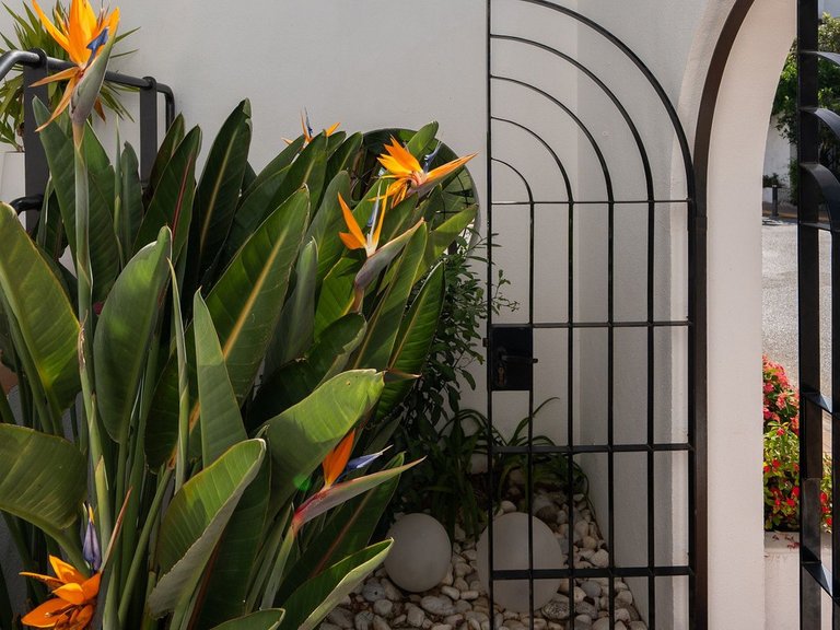 Villa for Sale in Costalita, Malaga 30