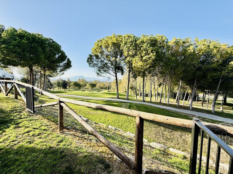 Villa for Sale in Alhaurín De La Torre, Malaga 4