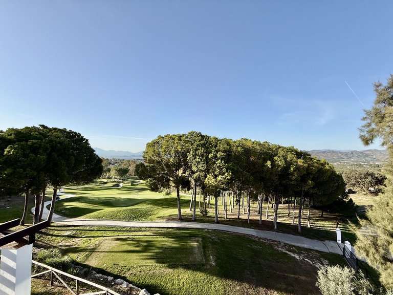 Villa for Sale in Alhaurín De La Torre, Malaga 5