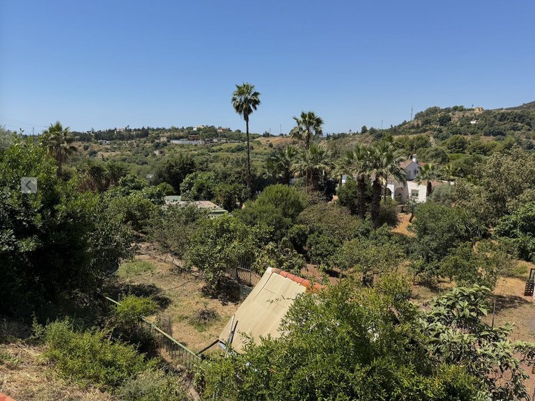 Country House for Sale in Costa del Sol, Estepona, Malaga 12