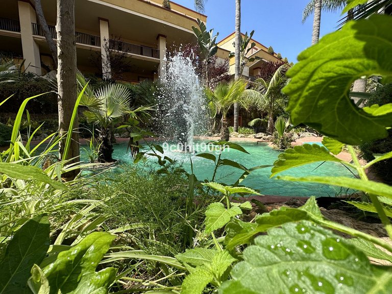 Apartment for Sale in Elviria, Malaga 41