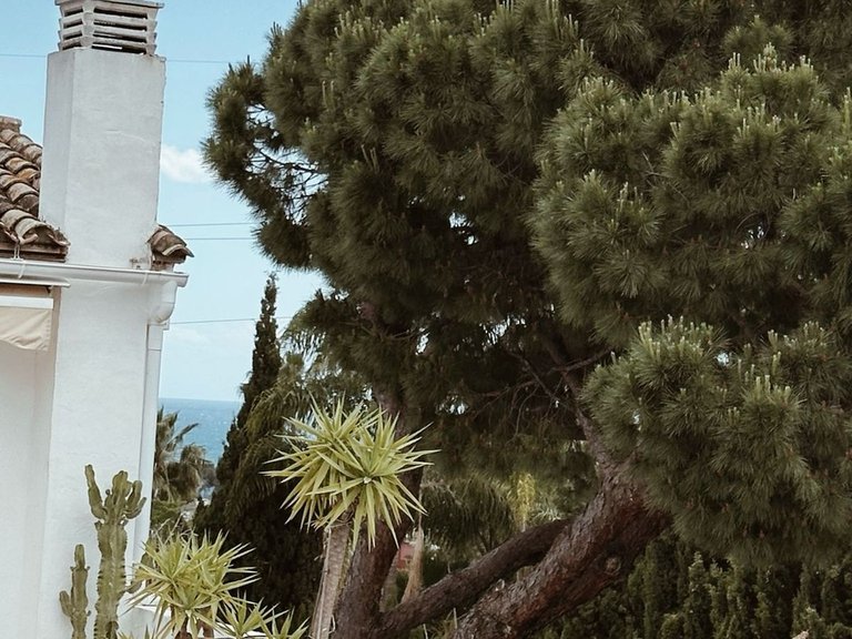 Villa for Sale in El Paraiso, Malaga 28