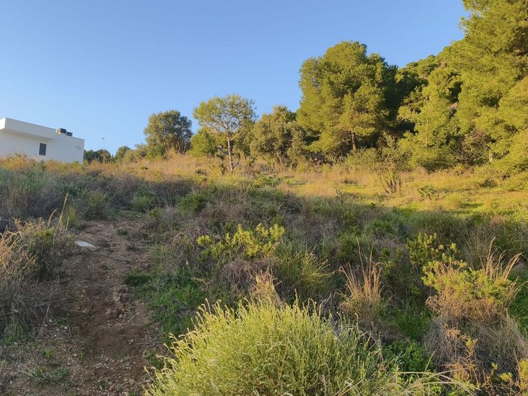 Plot for Sale in Mijas, Malaga 9