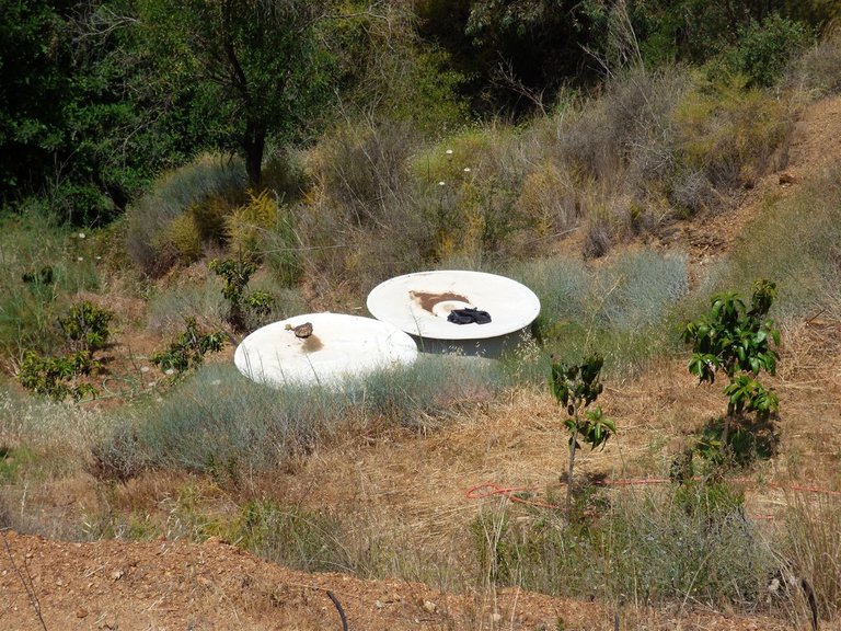 Villa for Sale in Mijas Costa, Malaga 34