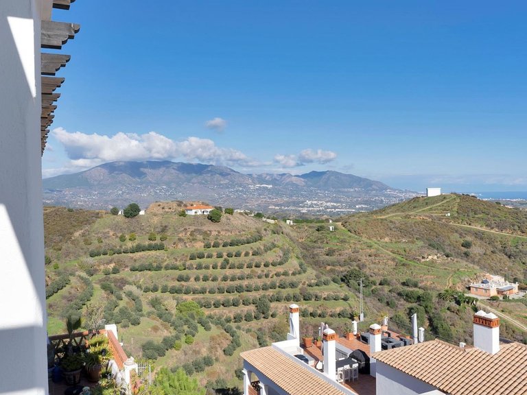 Apartment for Sale in Calahonda, Malaga 46