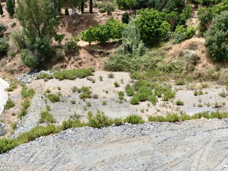 Plot for Sale in Benahavís, Malaga 5