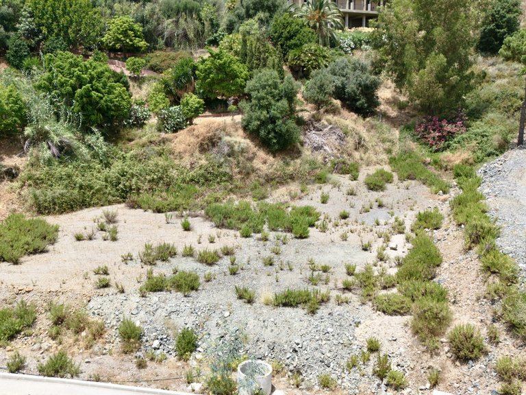 Plot for Sale in Benahavís, Malaga 8