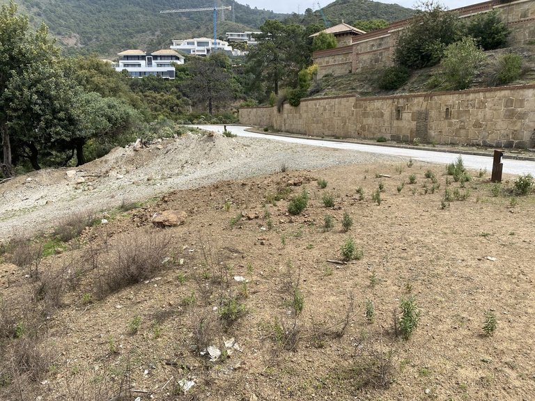 Plot for Sale in Inland La Zagaleta, Malaga 4