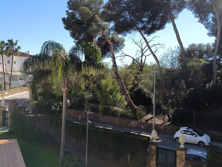 Apartment for Sale in Río Real, Malaga 21