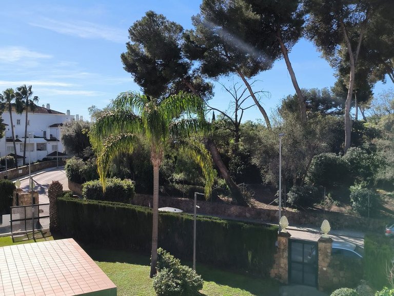 Apartment for Sale in Río Real, Malaga 23