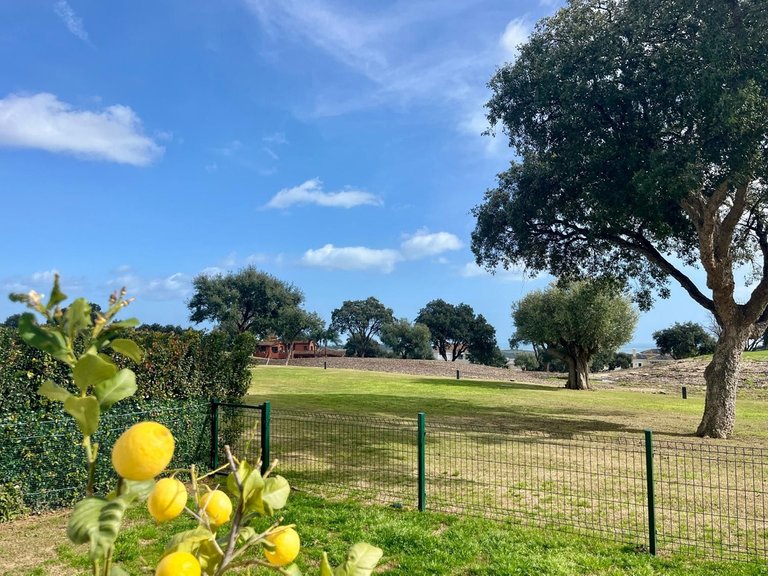 Apartment for Sale in San Roque Club, Cadiz 2