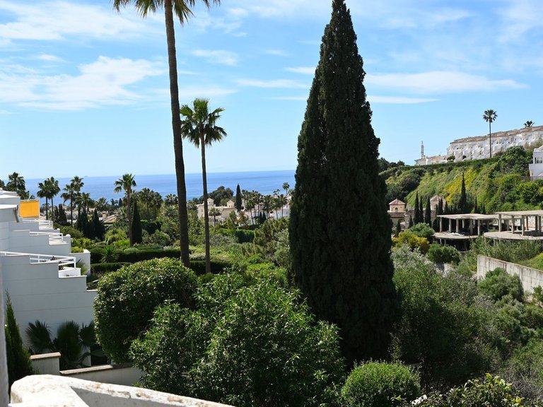Villa for Sale in Calahonda, Malaga 1