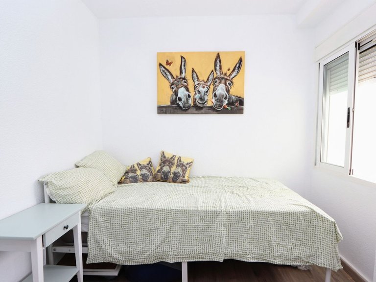 Apartment for Sale in La Regia, Alicante 14