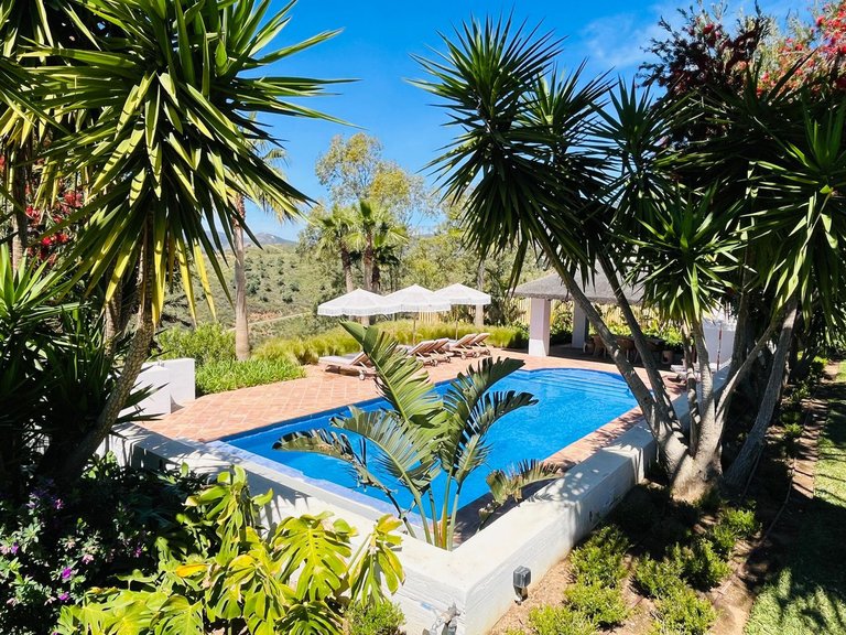Villa for Sale in Mijas, Malaga 38