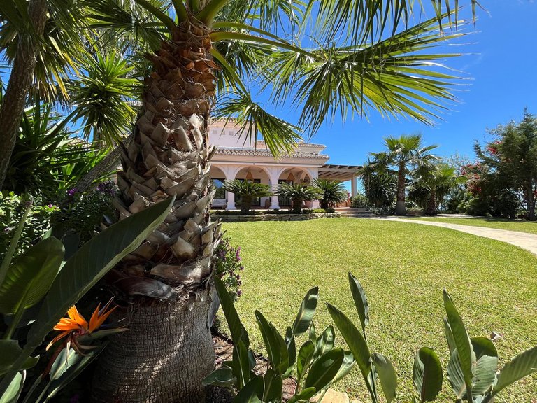 Villa for Sale in Mijas, Malaga 4