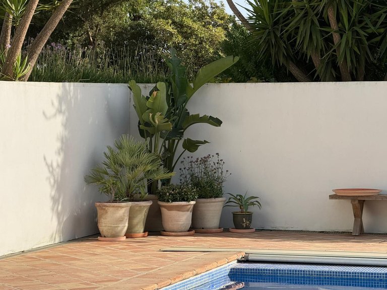 Villa for Sale in Mijas, Malaga 9